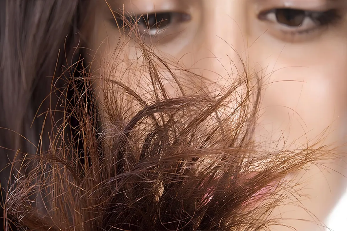 عوامل داخلی و فیزیولوژیکی