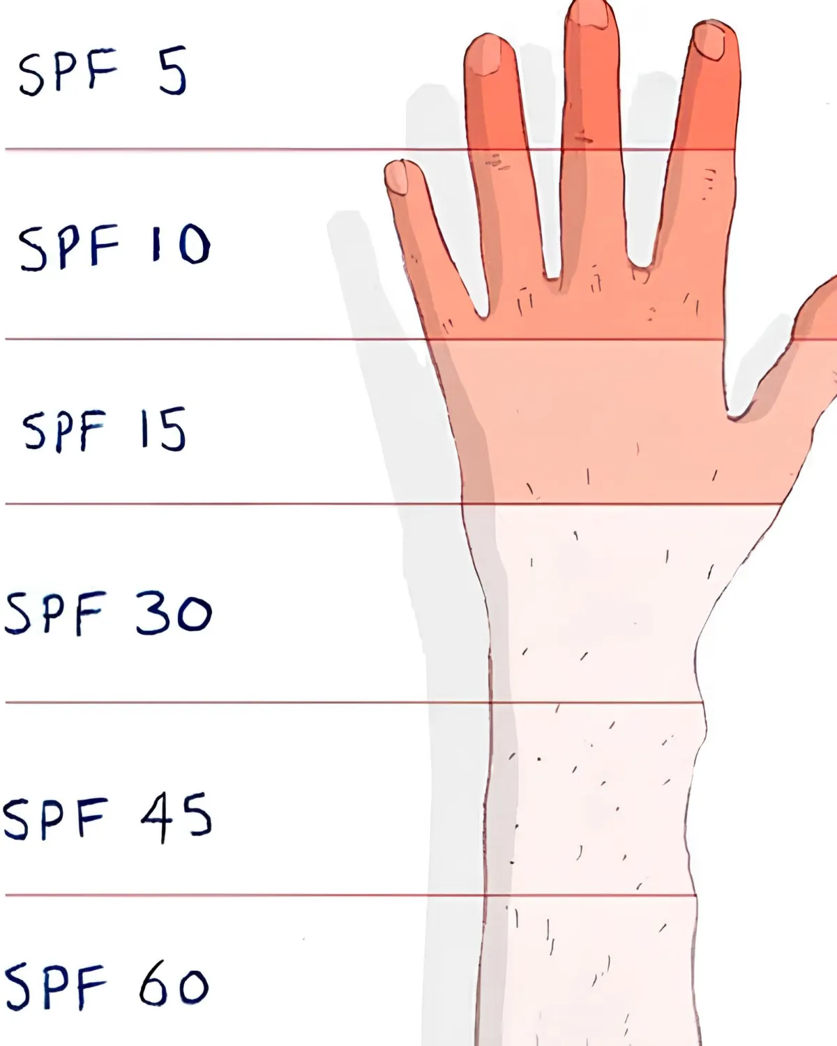 SPF چیست؟ مقدار مناسب و تفاوت بین اس پی اف های مختلف 3 تفاوت بین مقادیر مختلف SPF: آیا هر چه بالاتر، بهتر؟