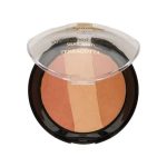 رژ گونه تراکوتا سیگنیچر شماره SC8